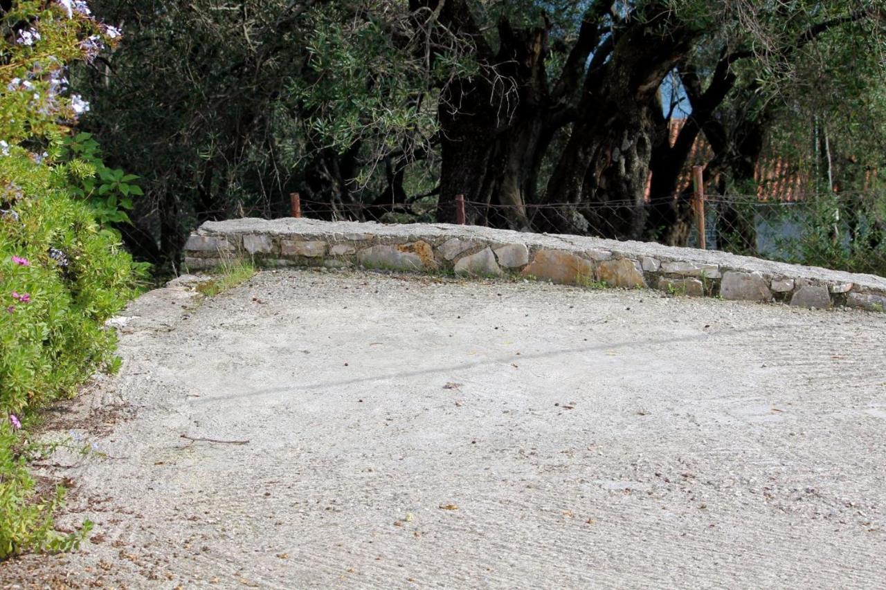 Gimari Nikolas House מראה חיצוני תמונה